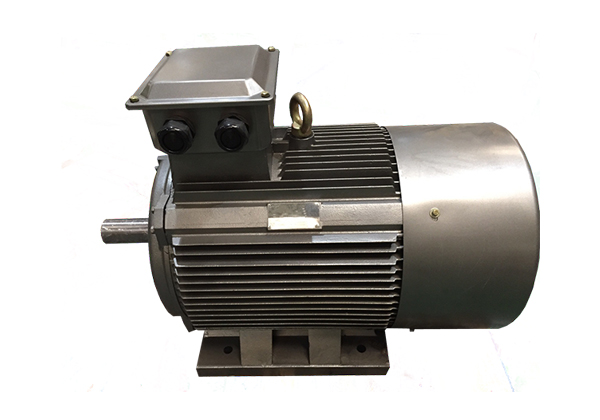 普通低壓電機(jī)Y2 (機(jī)座號63-355)