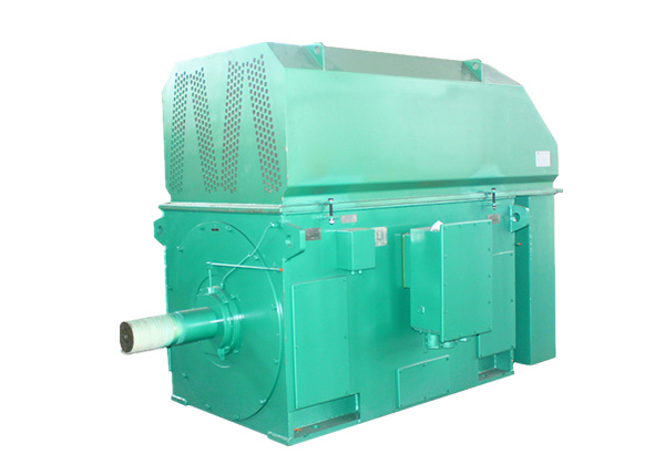 YRKK系列高壓三相異步繞線型轉(zhuǎn)子滑環(huán)式電動機(jī)