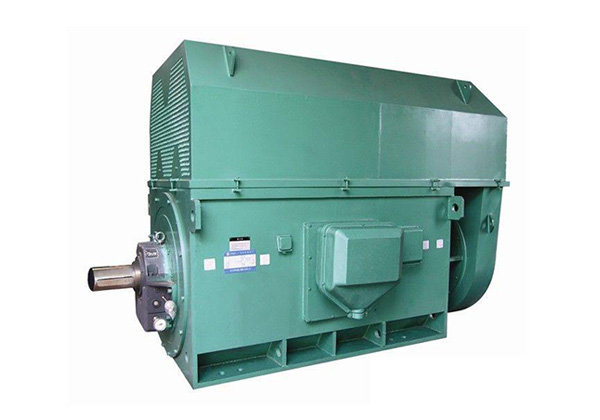 Y系列高壓三相異步鼠籠式電動機(jī)